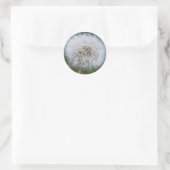 Sticker Dandelion (Sac)