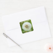 Sticker Dandelion - Certains voient une mauvaise h (Enveloppe)