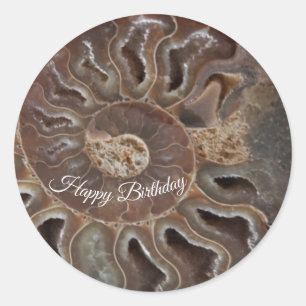 Sticker d'anniversaire Fossil Ammonite Shell