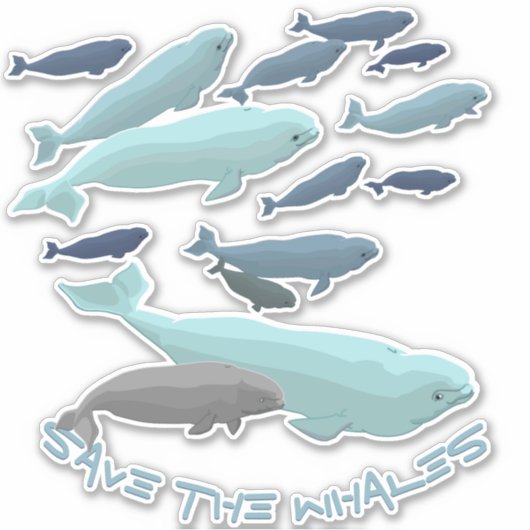 Sticker d'art de baleines de Beluga Décalages de b (Devant)