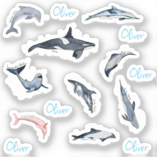 Sticker Dauphin orca aquarelle dessin nom personnalisé