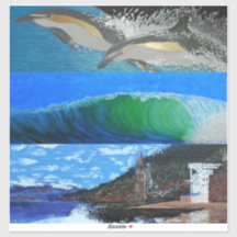 Dauphins, vagues, plage Victoria donc tour Laguna