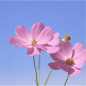 Sticker de belles fleurs roses serrant un ciel bleu clair (Devant)