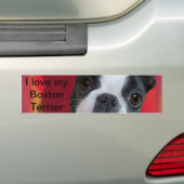 Sticker de Boston Terrier Bumper (En voiture)