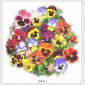 Sticker de contours d'affichage en plastique (Feuille)