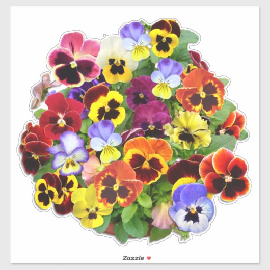 Sticker de contours d'affichage en plastique (Feuille)