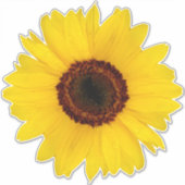 Sticker de contours de tournesol (Devant)
