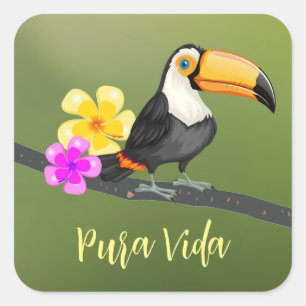 Sticker de design Tropical Toucan Pura Vida