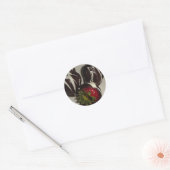 Sticker de fraises couvertes de chocolat (Enveloppe)