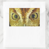 Sticker de hibou de chenille des yeux de hibou (Sac)
