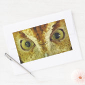 Sticker de hibou de chenille des yeux de hibou (Enveloppe)