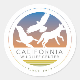 Sticker de logo Six CWC