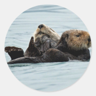 Sticker de loutres