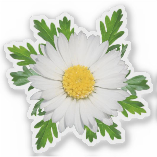 Sticker de marguerite (Devant)