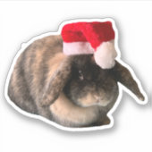 Sticker de Noël sur mesure Holland Lop Bunny Daisy (Devant)