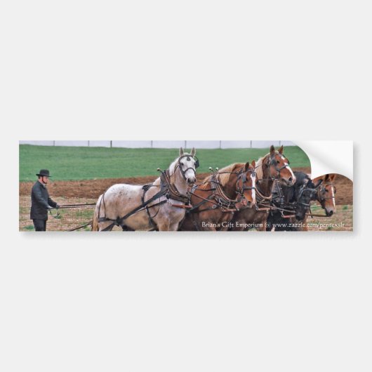 Sticker de pare-chocs de l'équipe Amish (Devant)