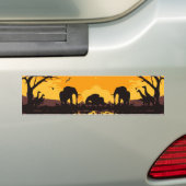 Sticker de pare-chocs en Afrique (En voiture)