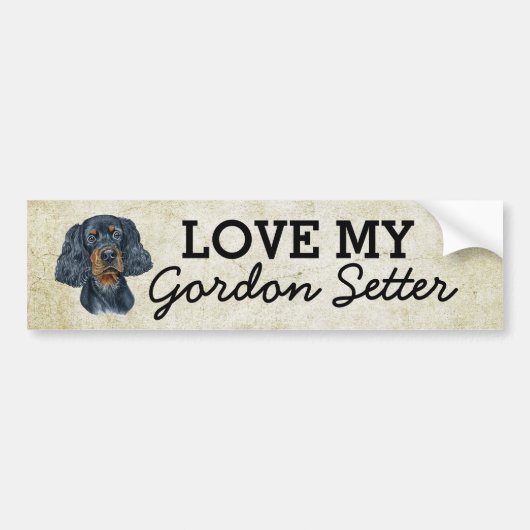 Sticker de pare-chocs Gordon Setter (Devant)