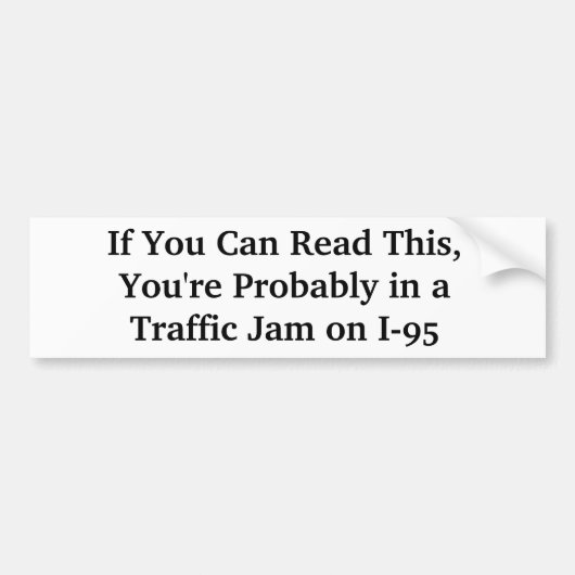 Sticker de pare-chocs Hilarious I-95 Floride (Devant)