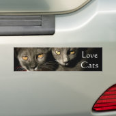 Sticker de pare-chocs Love Cats (En voiture)