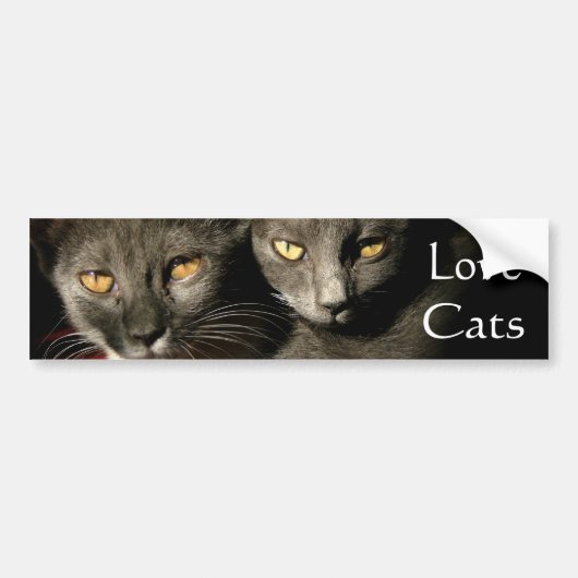 Sticker de pare-chocs Love Cats (Devant)