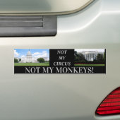Sticker de pare-chocs MONKEYS D.C (En voiture)