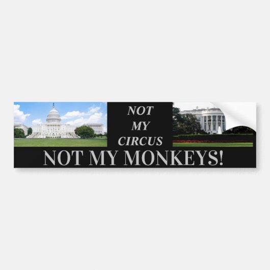 Sticker de pare-chocs MONKEYS D.C (Devant)