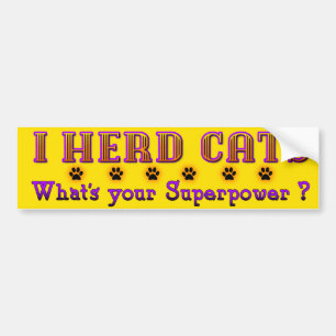 Sticker de pare-chocs pour chats