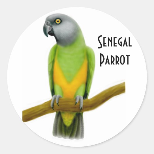 Sticker de perroquet Sénégal (Devant)