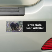 Sticker de protection contre la conduite de l'ours (En voiture)