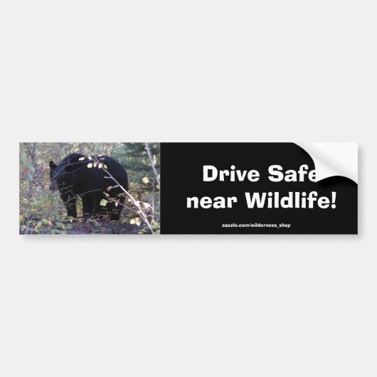 Sticker de protection contre la conduite de l'ours (Devant)