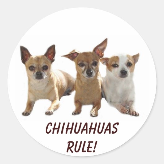 Sticker de règle du Chihuahuas (Devant)
