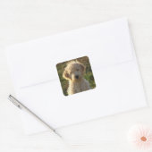 Sticker de salutation pour Chien Chien Coquelicot  (Enveloppe)