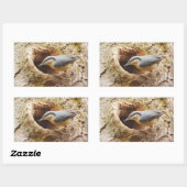 Sticker de trou de nuthatch et de pic (Feuille)