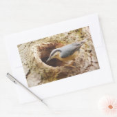 Sticker de trou de nuthatch et de pic (Enveloppe)