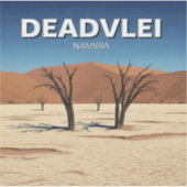 Sticker Deadvlei Namibie Travel (Devant)