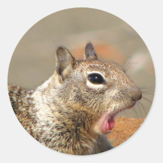 Sticker d'écureuil