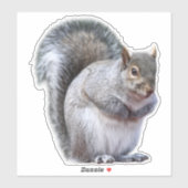 Sticker d'écureuil gris mou (Feuille)