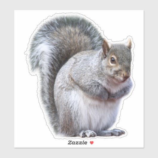 Sticker d'écureuil gris mou (Feuille)