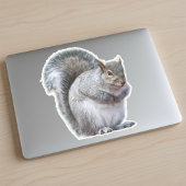 Sticker d'écureuil gris mou