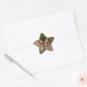 Sticker Deer Star (Enveloppe)