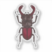 Sticker Dendroctone du pin (Devant)