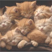 Sticker Des chatons orange dorment dans une pile (Devant)