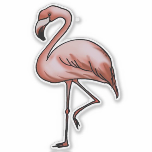 Sticker design flamand rose (Devant)
