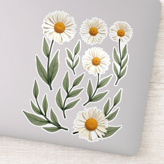 Sticker Design floral de marguerite blanche (Détail)