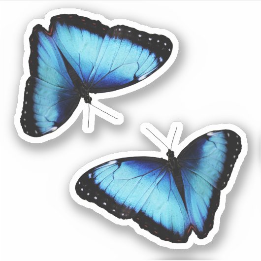 Sticker Design inspiré de la nature (Devant)