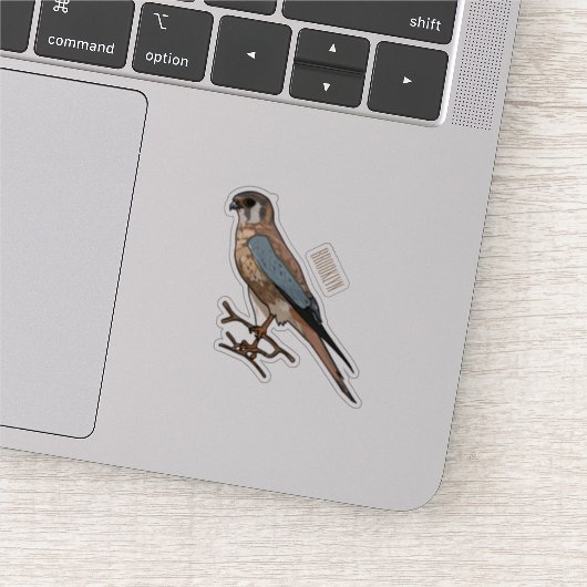 Sticker dessin animé d'oiseau-kestrel américain (Détail)