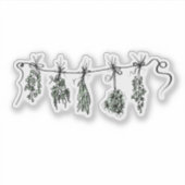 Sticker Dessin du plante botanique de Garden Herbs (Devant)