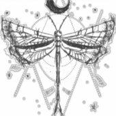 Sticker Dessin d'une libellule dans le style boho clair de (Devant)