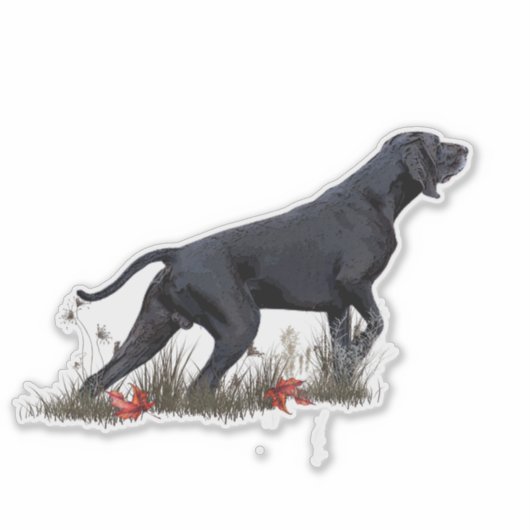 Sticker Deutsch Kurzhaar (GSP) (Devant)